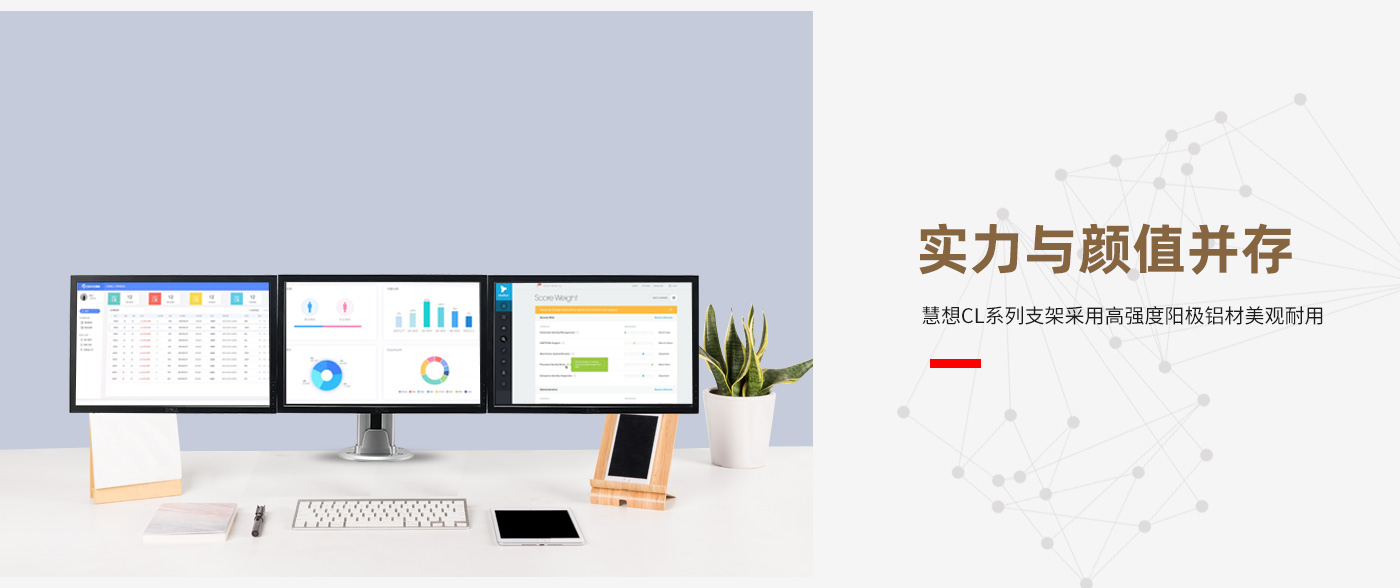 CL300-產(chǎn)品頁簡(jiǎn)介_02.jpg
